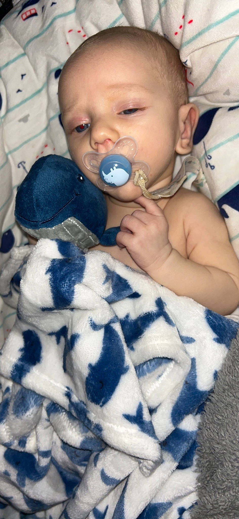 Beckett is registered to the contest to win money with this photo: baby, baby_toddler_clothing, blue, cheek, ear, eye, eyelash, face, finger, gesture, hand, happy, head, iris, mammal, nose, person, skin, sleeve, toddler