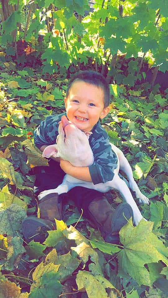 Cameron is registered to the contest to win money with this photo: autumn, baby_toddler_clothing, child, deciduous, eye, flowering_plant, garden, grass, groundcover, happy, head, joy, leaf, people_in_nature, person, plant, sitting, smile, thumb, toddler