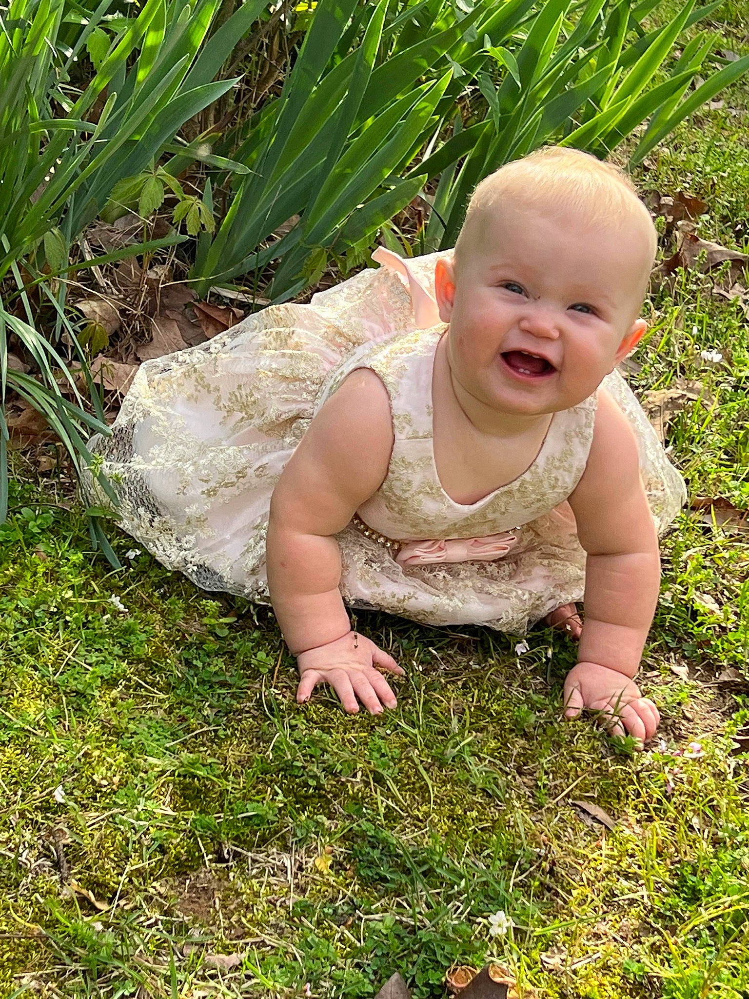 Brentley joined the competition — help win amazing prizes! baby, baby_laughing, baby_toddler_clothing, child, crawling, garden, grass, grass_family, grassland, groundcover, happy, lawn, leaf, people_in_nature, person, plant, sitting, smile, terrestrial_plant, toddler