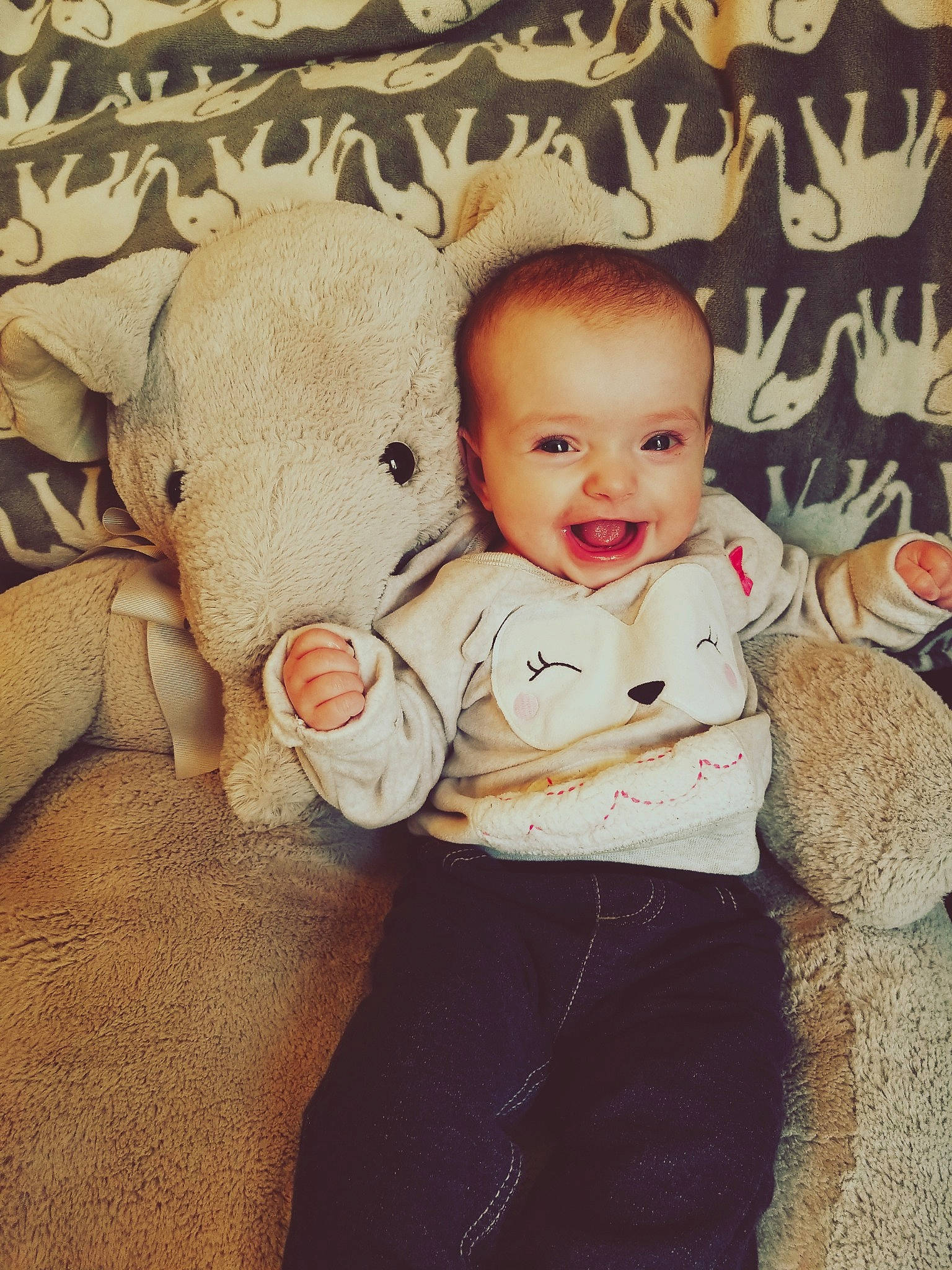 Gemma joined the competition — help win amazing prizes! baby, cheek, child, ear, face, family, fawn, happy, head, interaction, love, nose, people, person, product, sibling, skin, smile, teddy_bear, toddler