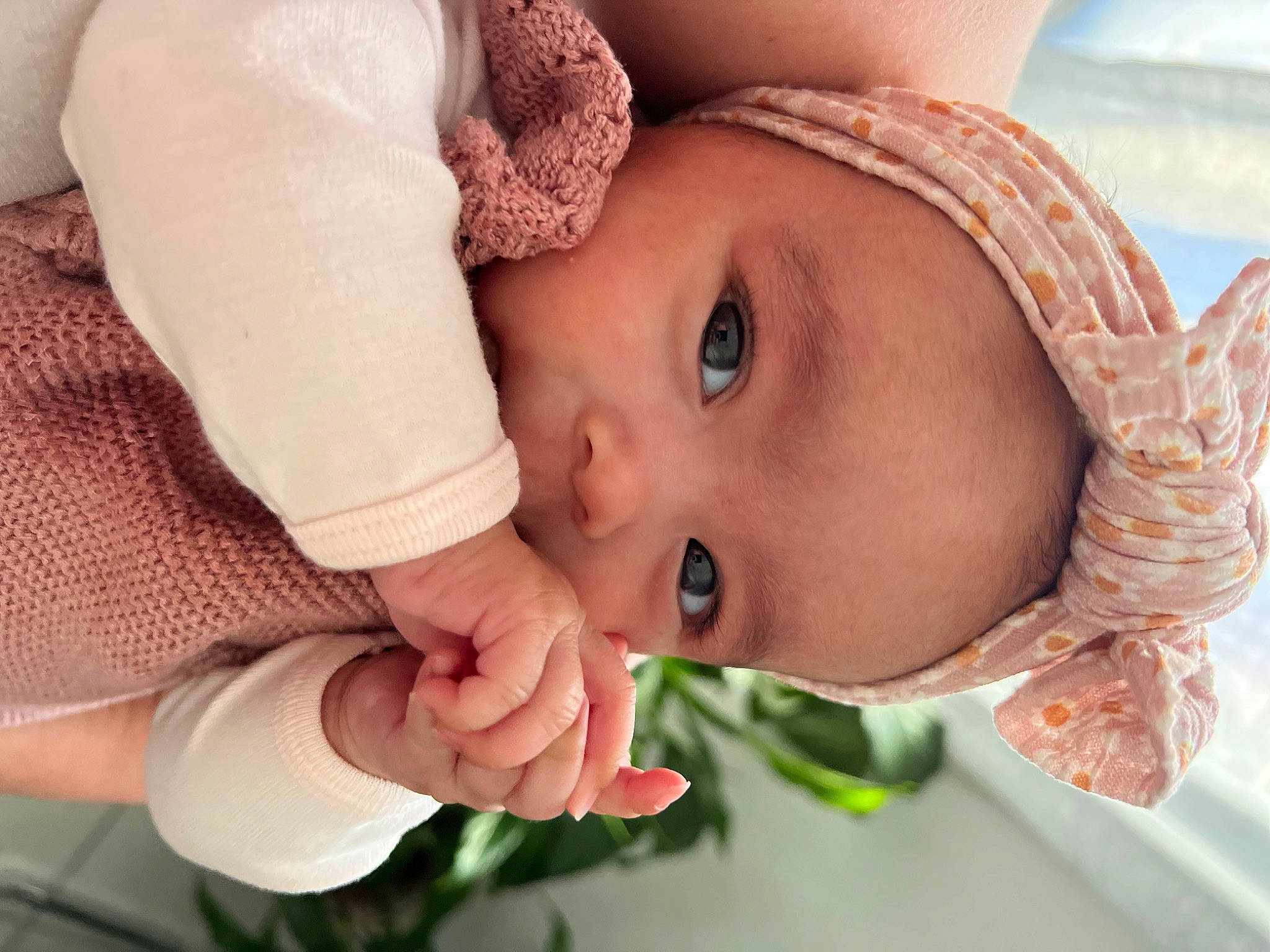Rosie participe au concours pour gagner de l'argent avec cette photo : baby, cheek, chin, eyebrow, eyelash, face, facial_expression, gesture, hand, happy, hat, iris, lip, mouth, neck, nose, person, plant, skin, textile