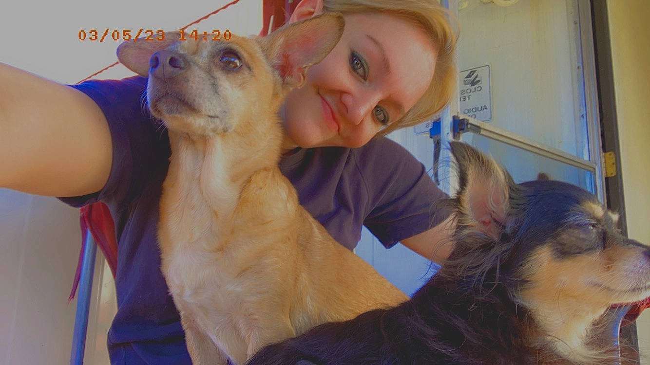 Loretta Lynn joined the competition — help win amazing prizes! canidae, carnivore, companion_dog, dog, dog_breed, ear, fawn, fun, fur, gesture, happy, interaction, jaw, nose, selfie, smile, snout, sporting_group, toy_dog, working_animal