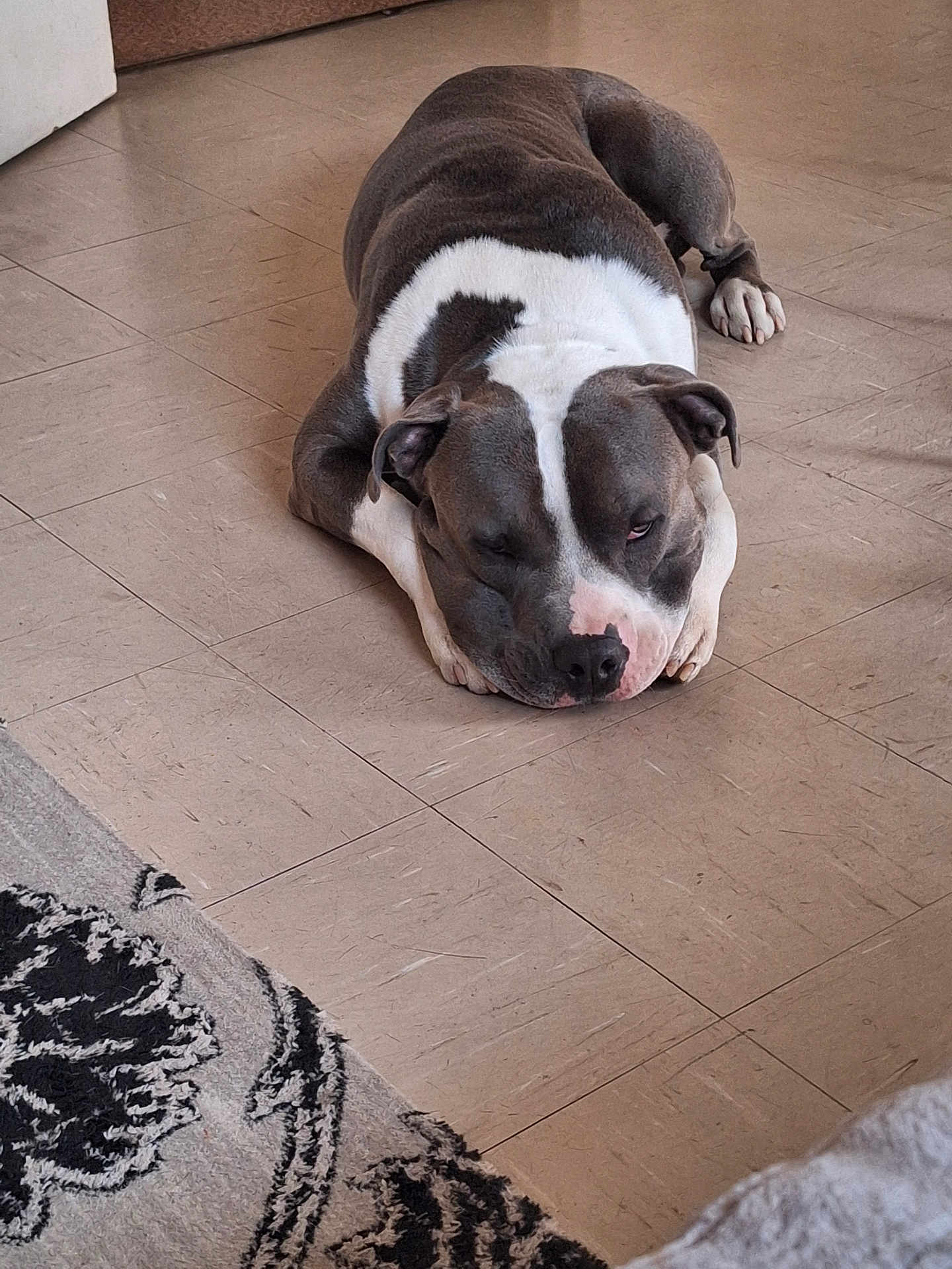 Balou