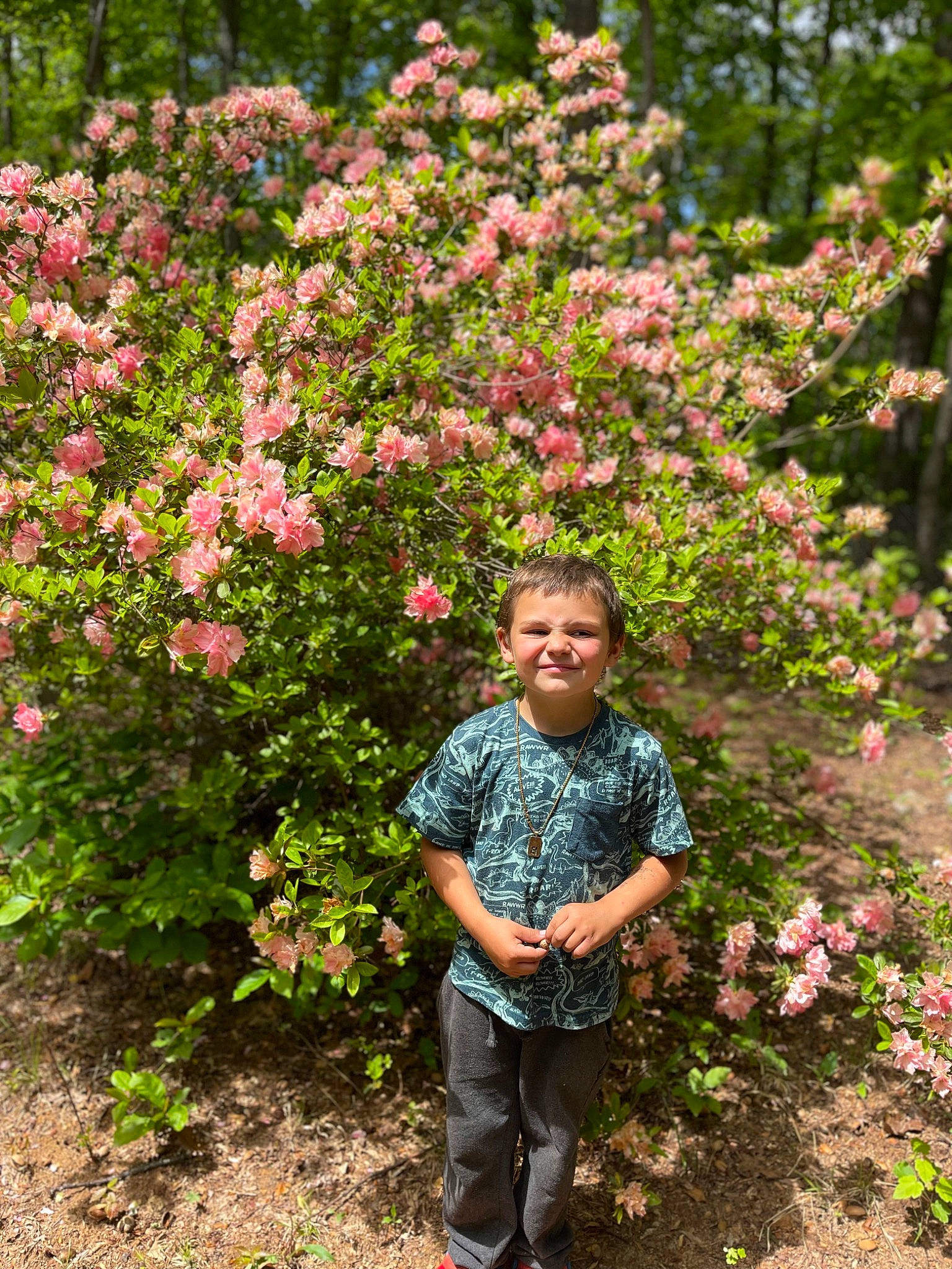 Brandon is registered to the contest to win money with this photo: annual_plant, botany, flower, flowering_plant, garden, grass, groundcover, joy, leaf, magenta, people_in_nature, person, petal, pink, plant, rose_family, shrub, smile, terrestrial_plant, toddler
