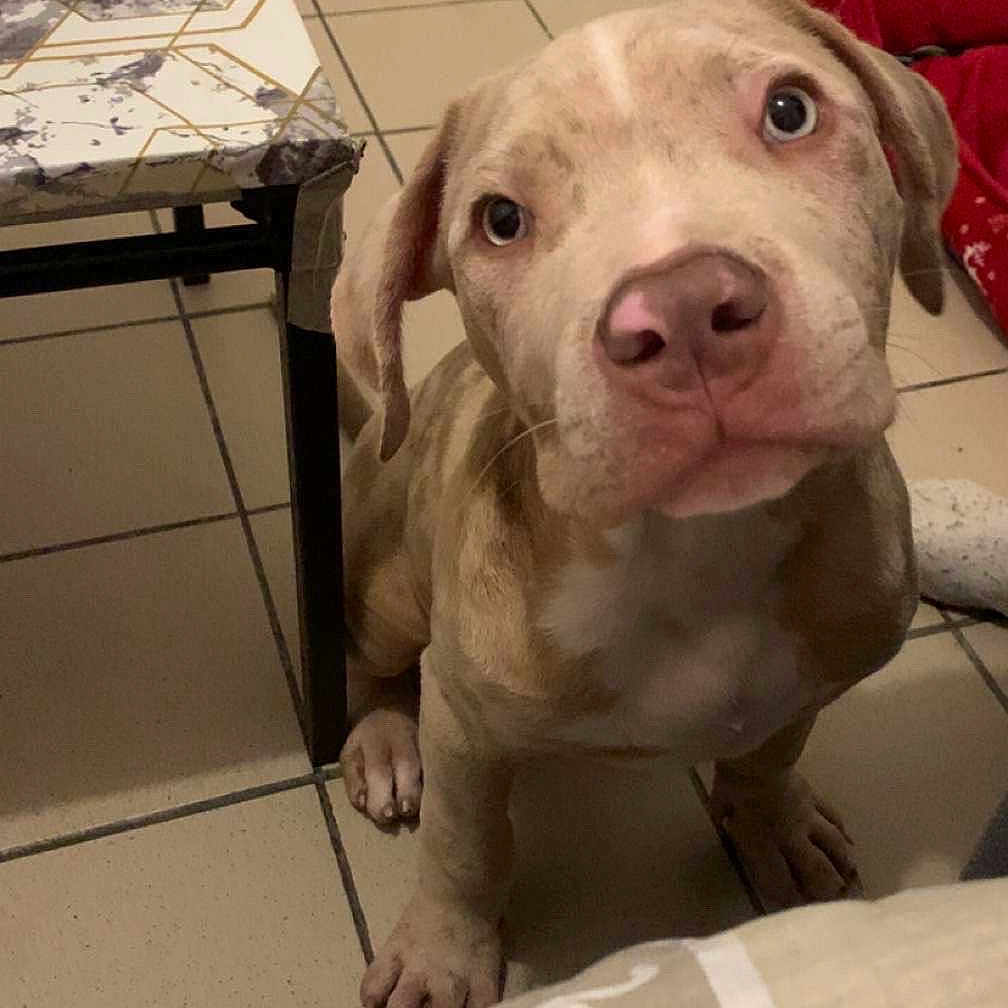 Zeus