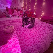 Twyla Kelly joined the competition — help win amazing prizes! cat, bed, blanket, plush_toys, pink, fairy_lights, stuffed_animals, cozy, indoor, cute, animal, feline, decor, soft_lighting, toy, pattern, leopard_print, resting, warm, night