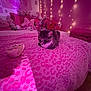 cat, bed, blanket, plush_toys, pink, fairy_lights, stuffed_animals, cozy, indoor, cute, animal, feline, decor, soft_lighting, toy, pattern, leopard_print, resting, warm, night