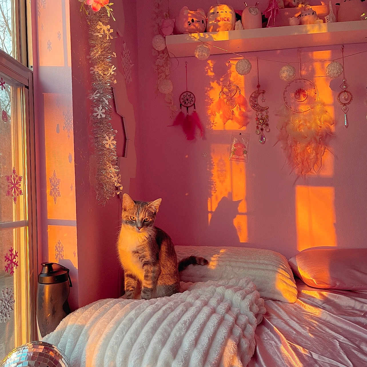 Twyla Kelly is registered to the contest to win money with this photo: bed, blanket, cat, cozy, curtains, decorations, dreamcatcher, feline, fluffy, indoor, pillow, pink_wall, reflective_ball, relaxing, shadow, soft_texture, stuffed_toys, sunset_light, warm_light, window