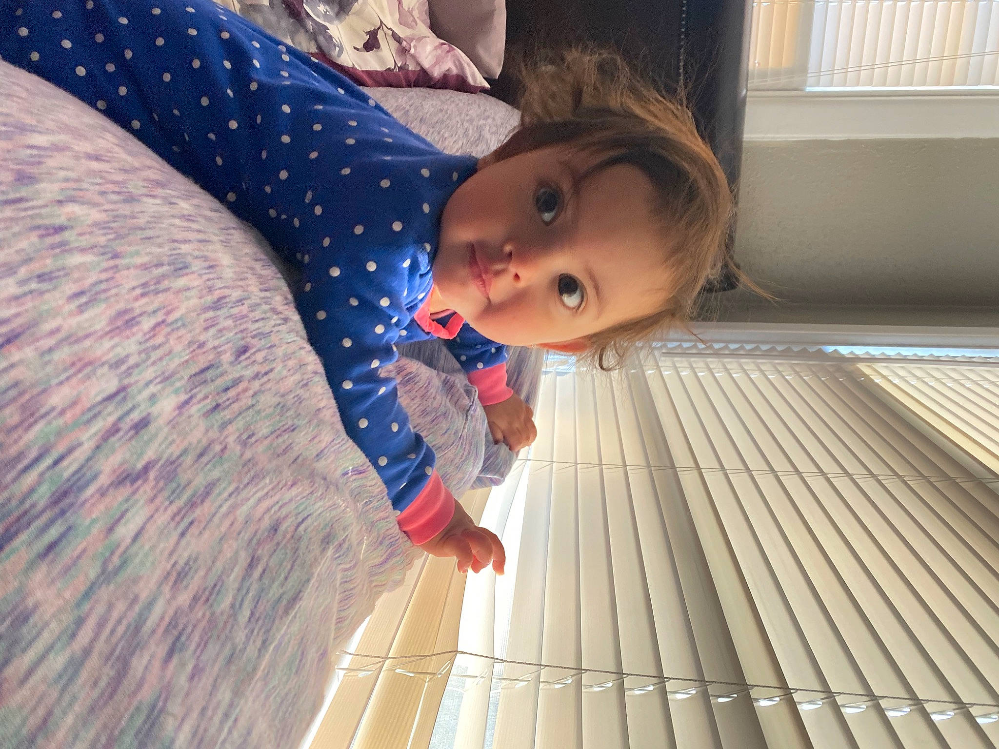 Aria joined the competition — help win amazing prizes! baby, baby_products, baby_toddler_clothing, child, comfort, electric_blue, flooring, fun, hardwood, human_leg, leisure, linens, pattern, person, toddler, tree, window, window_blind, wood