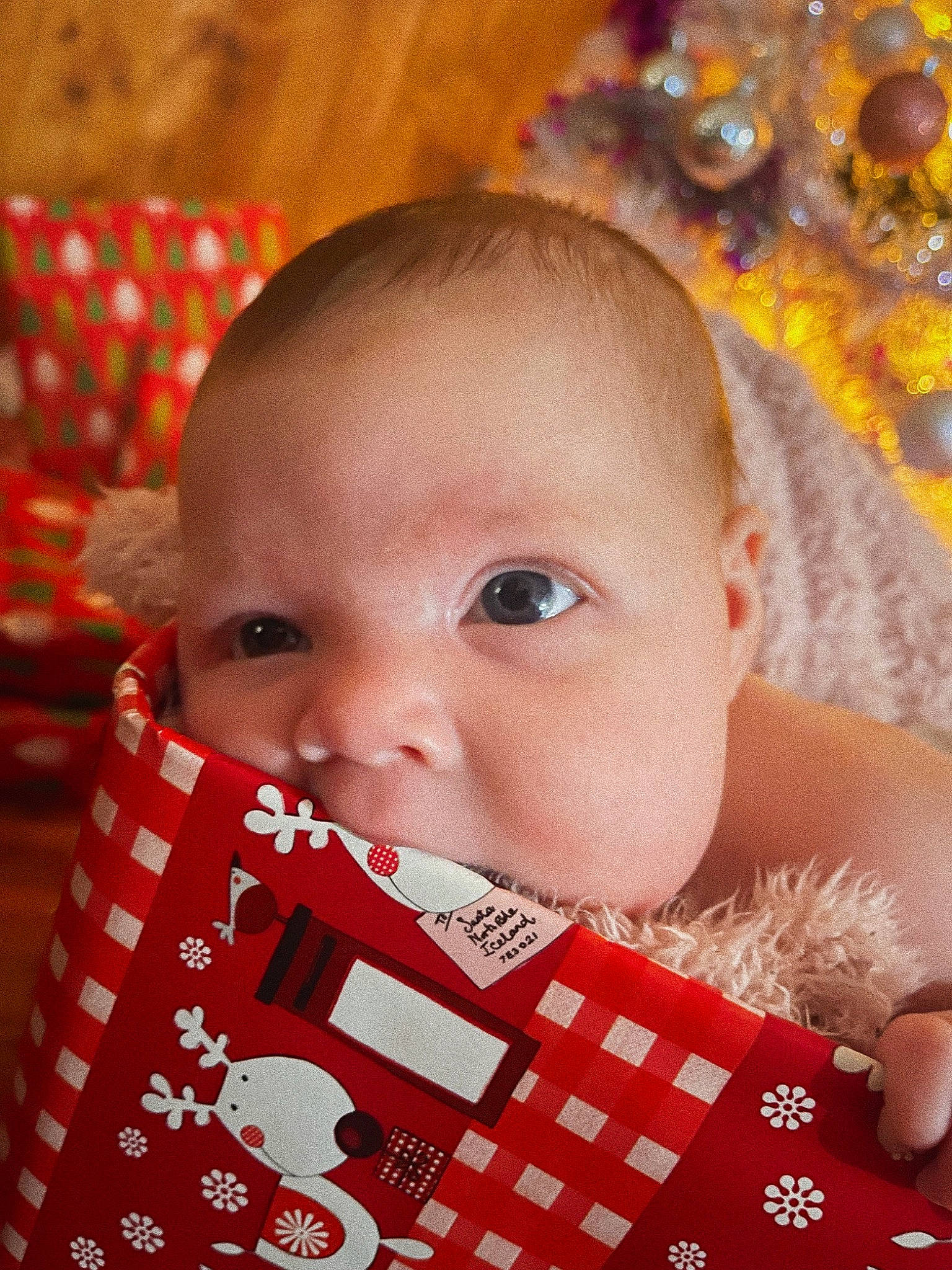 Alaska joined the competition — help win amazing prizes! baby, baby_toddler_clothing, carmine, cheek, child, chin, eyebrow, eyelash, fun, happy, holiday, lip, nose, pattern, person, portrait_photography, product, skin, smile, sweetness