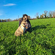 Ayzer participe au concours pour gagner de l'argent avec cette photo : dog, man, grass, field, outdoor, nature, blue_sky, collar, pet, animal, happy, sunlight, greenery, leash, portrait, crouching, daytime, canine, person, scenery