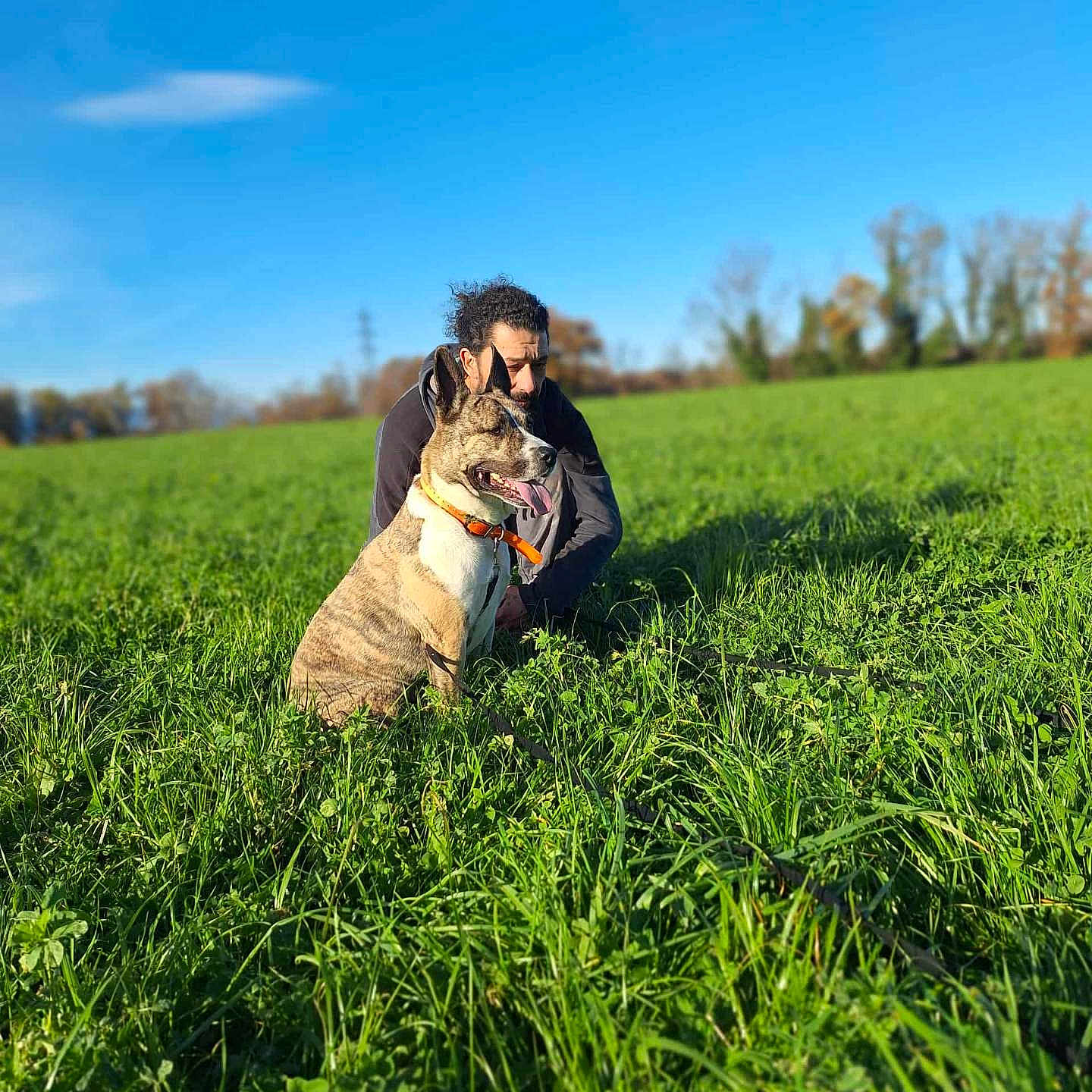Ayzer participe au concours pour gagner de l'argent avec cette photo : animal, blue_sky, canine, collar, crouching, daytime, dog, field, grass, greenery, happy, leash, man, nature, outdoor, person, pet, portrait, scenery, sunlight