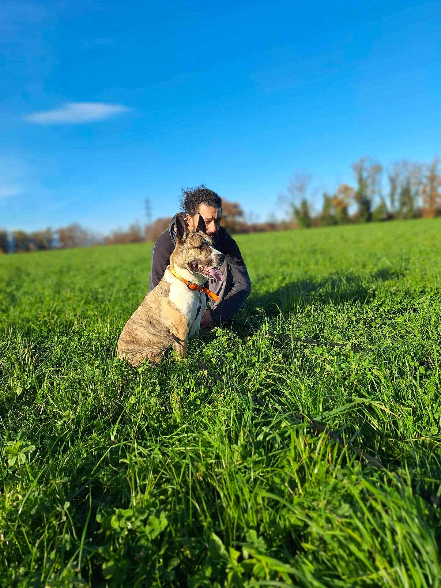 Ayzer participe au concours pour gagner de l'argent avec cette photo : dog, man, grass, field, outdoor, nature, blue_sky, collar, pet, animal, happy, sunlight, greenery, leash, portrait, crouching, daytime, canine, person, scenery