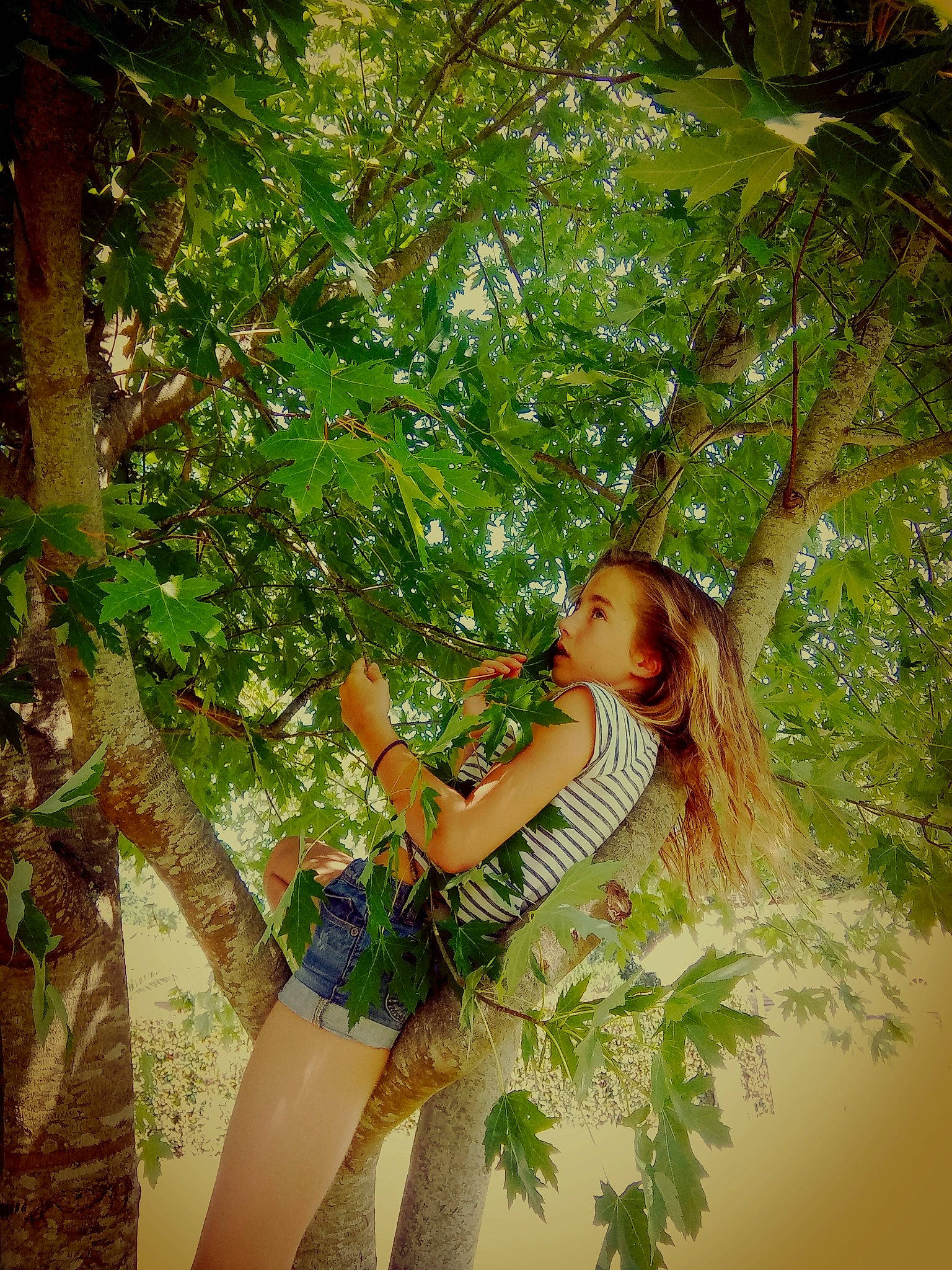 Louna participe au concours pour gagner de l'argent avec cette photo : beauty, botany, branch, fawn, forest, green, ivy, jungle, leaf, long_hair, natural_environment, nature, people_in_nature, person, photo_shoot, photography, plant, spring, summer, tree