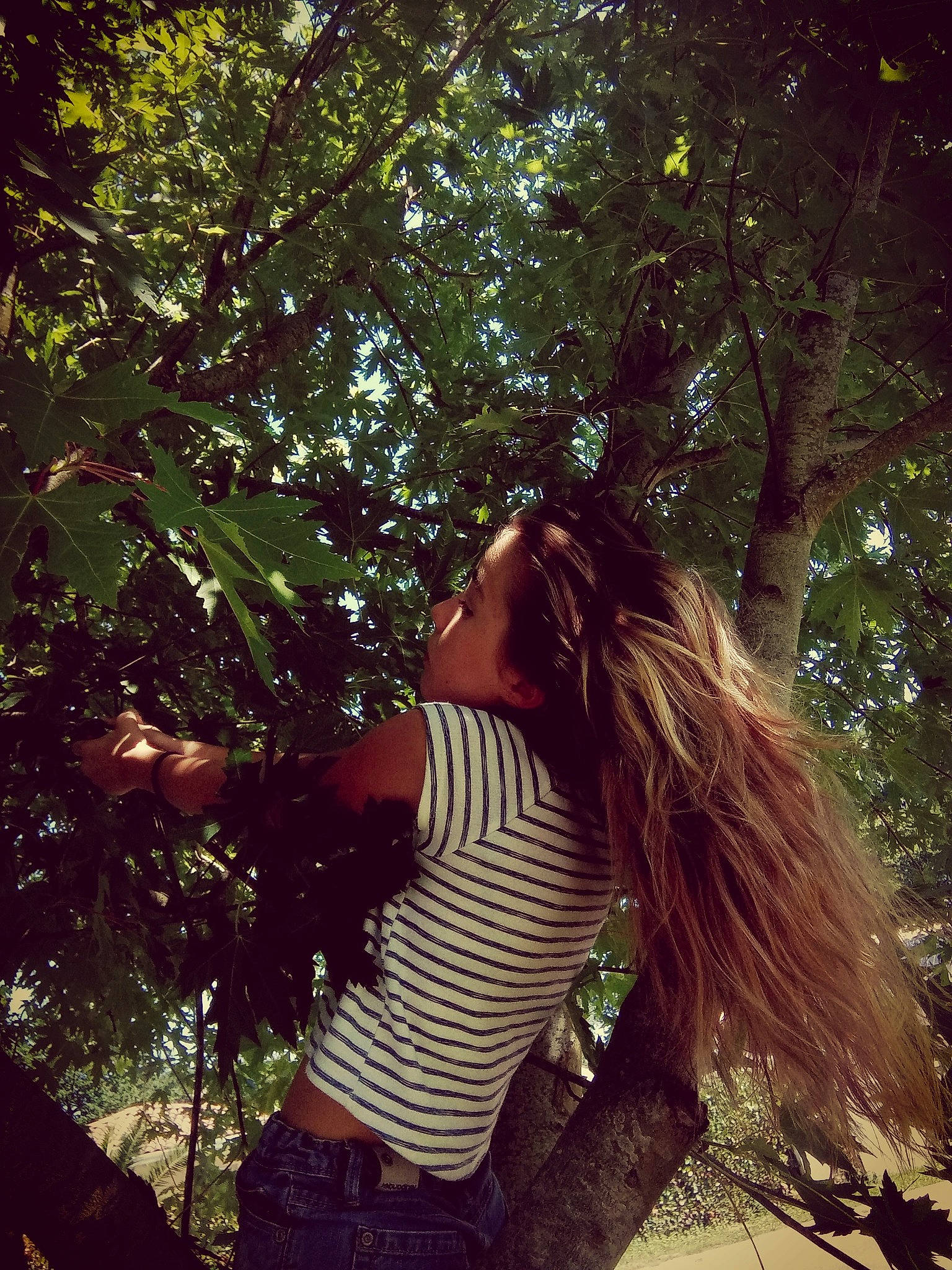 Louna a rejoint le concours — aidez-le/la à gagner de superbes lots ! beauty, botany, branch, dress, forest, hair, hairstyle, leaf, light, long_hair, natural_environment, nature, people_in_nature, person, photography, plant, smile, summer, sunlight, tree
