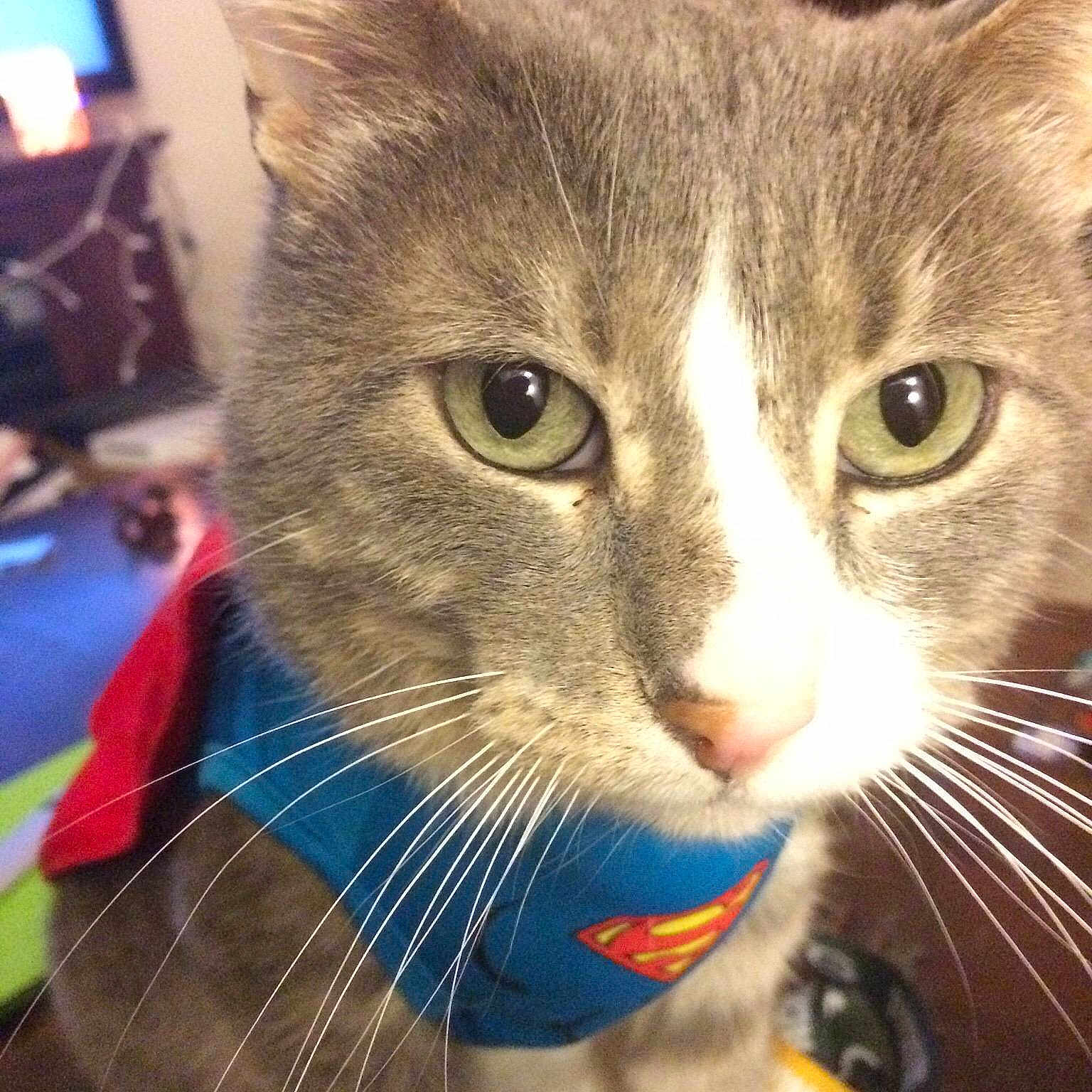 Clark joined the competition — help win amazing prizes!