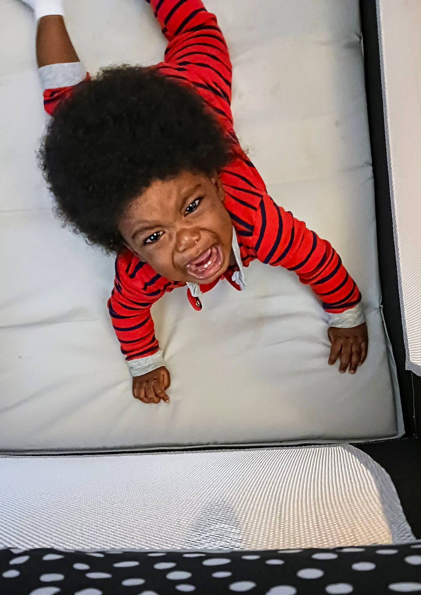 Messiah is registered to the contest to win money with this photo: arm, carmine, child, christmas, comfort, fictional_character, finger, flooring, fun, fur, gesture, happy, holiday, laugh, linens, person, play, sitting, sleeve, smile