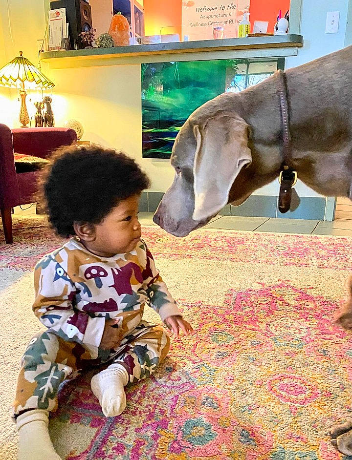 Messiah is registered to the contest to win money with this photo: adaptation, baby, child, companion_dog, dog_breed, fawn, flooring, fun, fur, happy, home_appliance, lamp, leisure, person, play, room, sitting, television, toddler, vacation