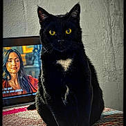 Max is registered to the contest to win money with this photo: black_cat, cat, yellow_eyes, white_patch, indoor, portrait, animal, pet, feline, patterned_surface, framed_photo, woman, red_clothing, long_hair, table, wall, texture, sitting, looking_at_camera, phone_screen