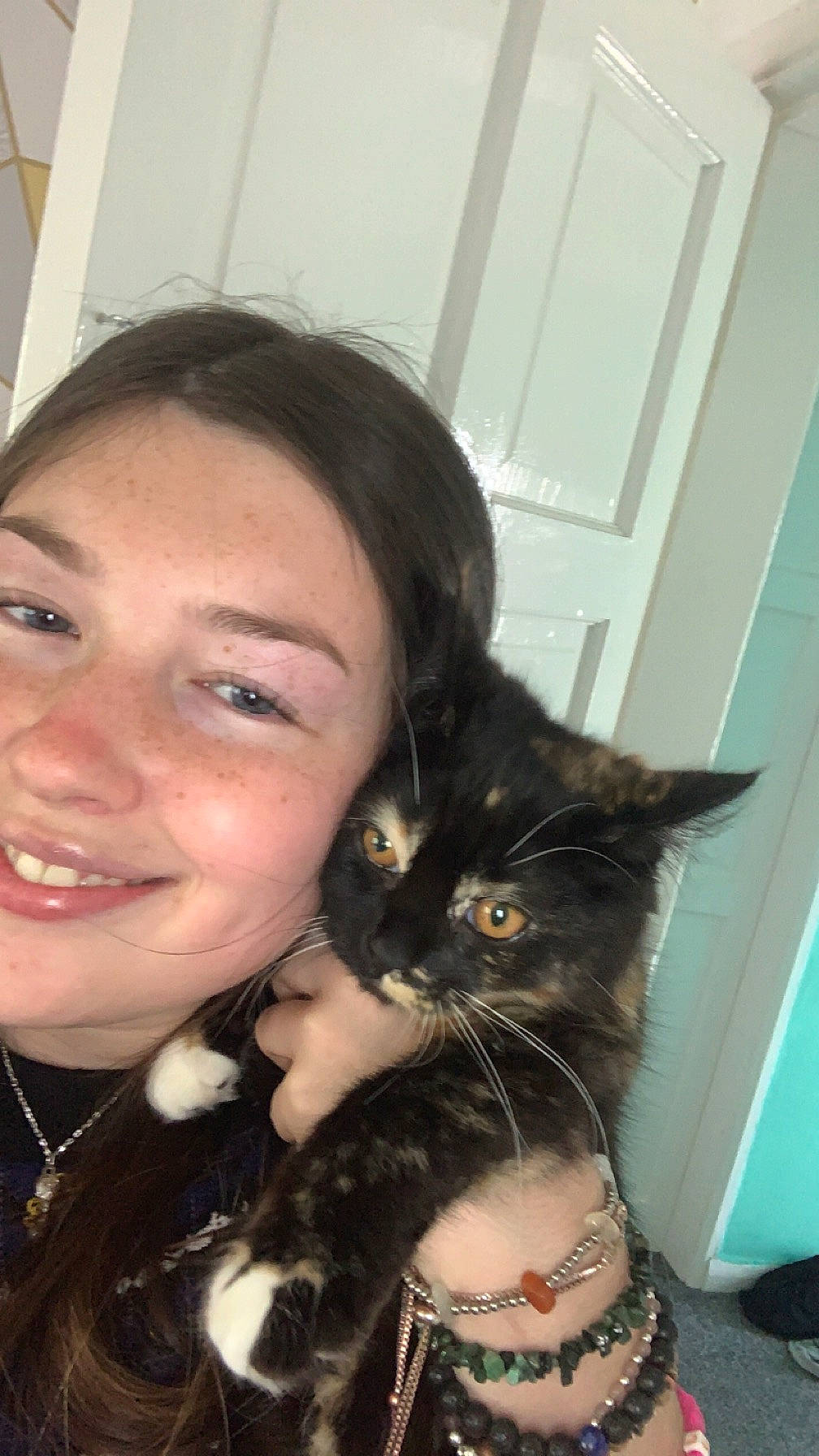 Dottie is registered to the contest to win money with this photo: black_hair, brown_hair, carnivore, cat, ear, eye, eyebrow, eyelash, felidae, hair, happy, iris, jaw, long_hair, mouth, nose, skin, small_to_medium_sized_cats, smile, whiskers