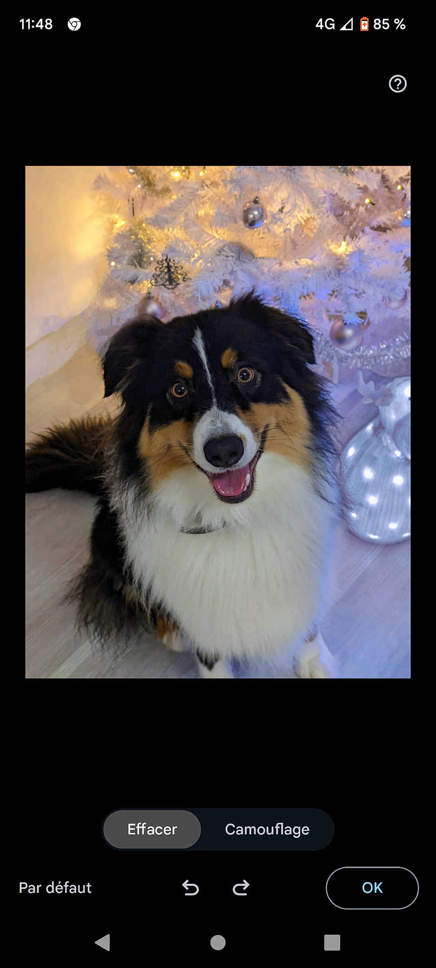 Tao a rejoint le concours — aidez-le/la à gagner de superbes lots ! dog, tricolor, fluffy, happy, smiling, indoor, christmas_tree, ornaments, holiday_lights, festive, decorations, pet, canine, floor, holiday_season, celebration, tongue_out, cute, companion, fur