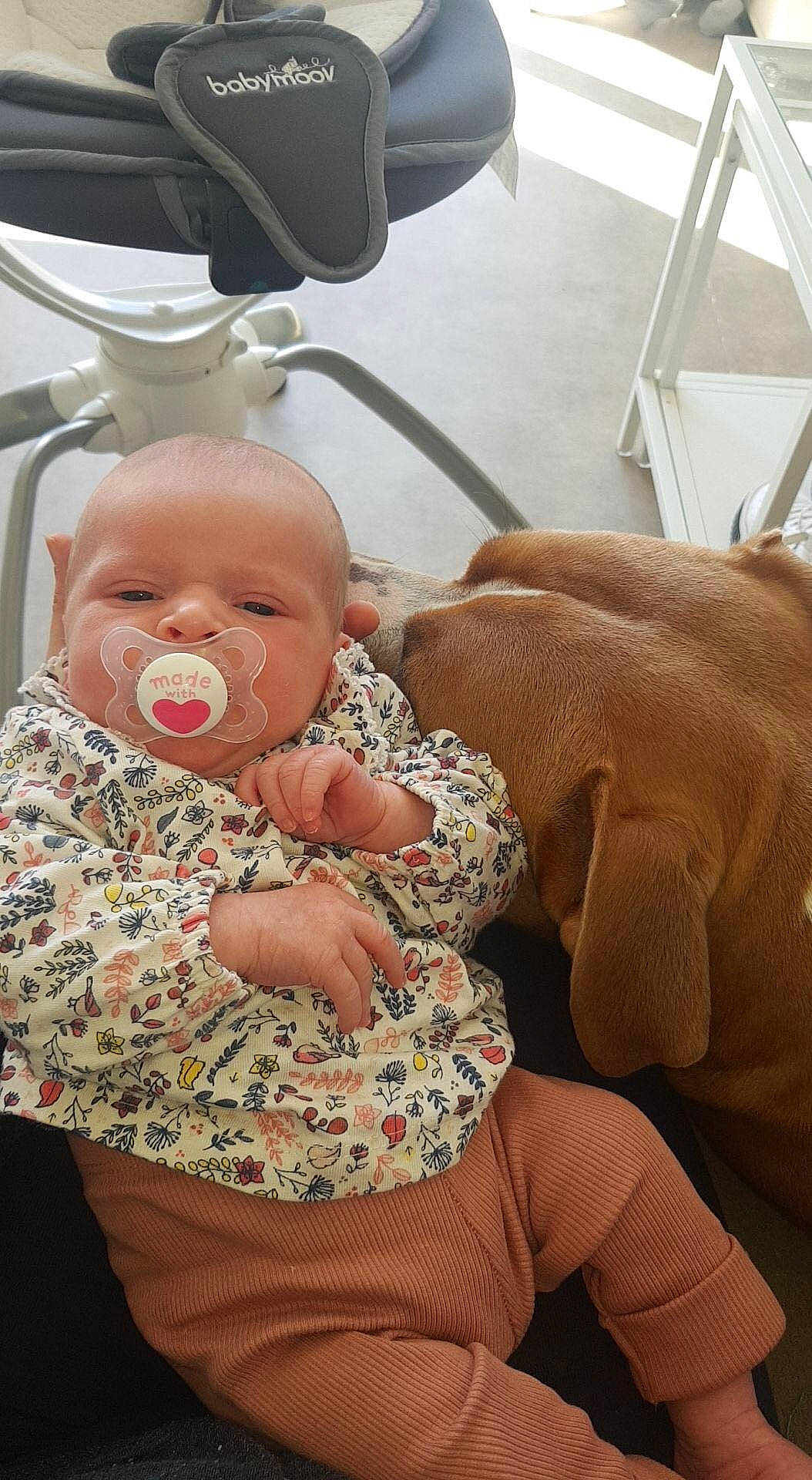 Camilia participe au concours pour gagner de l'argent avec cette photo : baby, birth, car_seat, cheek, child, ear, mouth, nose, person, skin, smile, toddler, wrinkle