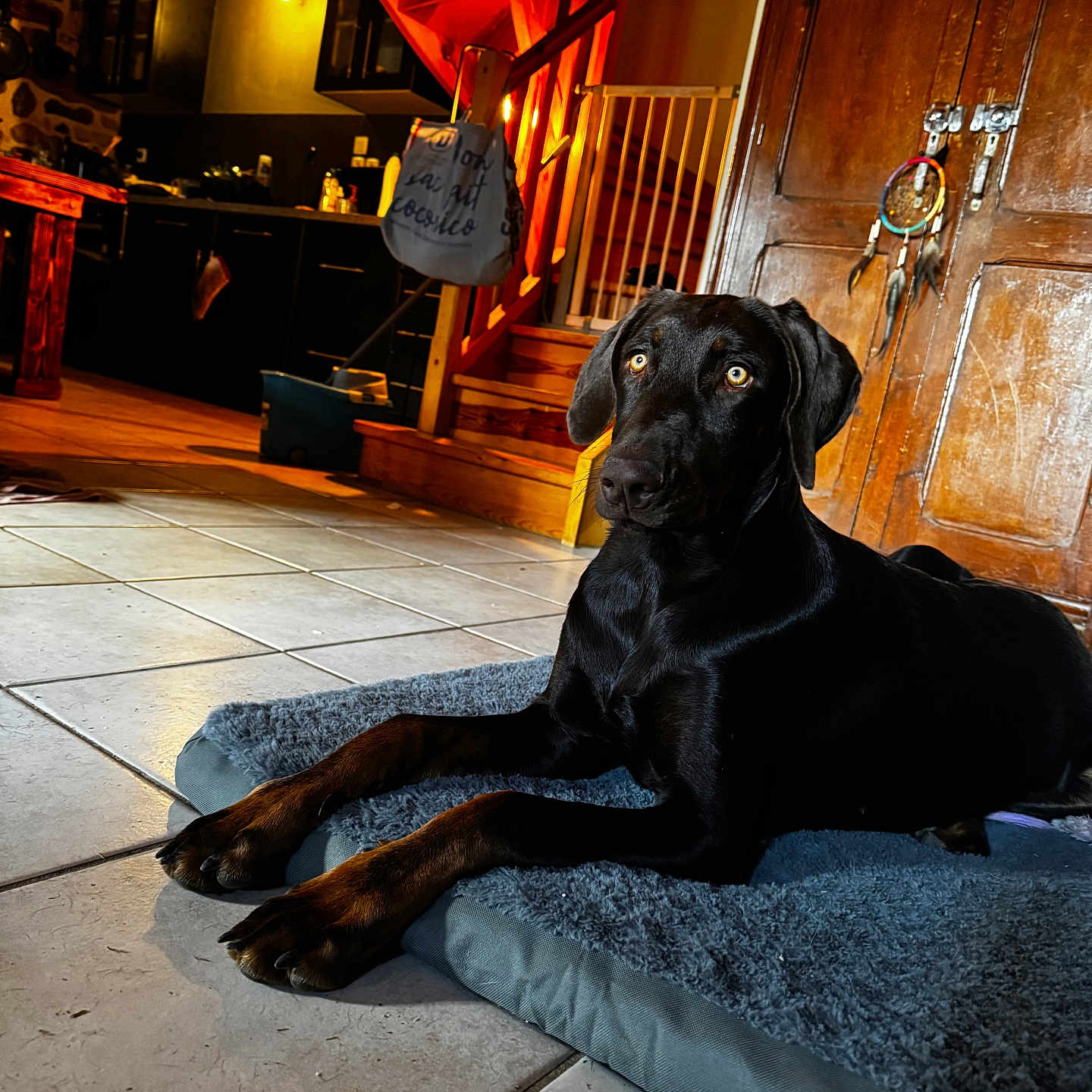Abigail