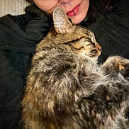 Lagertha a rejoint le concours — aidez-le/la à gagner de superbes lots ! affection, animal, black_clothing, blanket, cat, close_up, cozy, cuddling, face, fur, indoor, paw, person, pet, portrait, relaxed, sleeping, sleepy, tabby_cat, whiskers