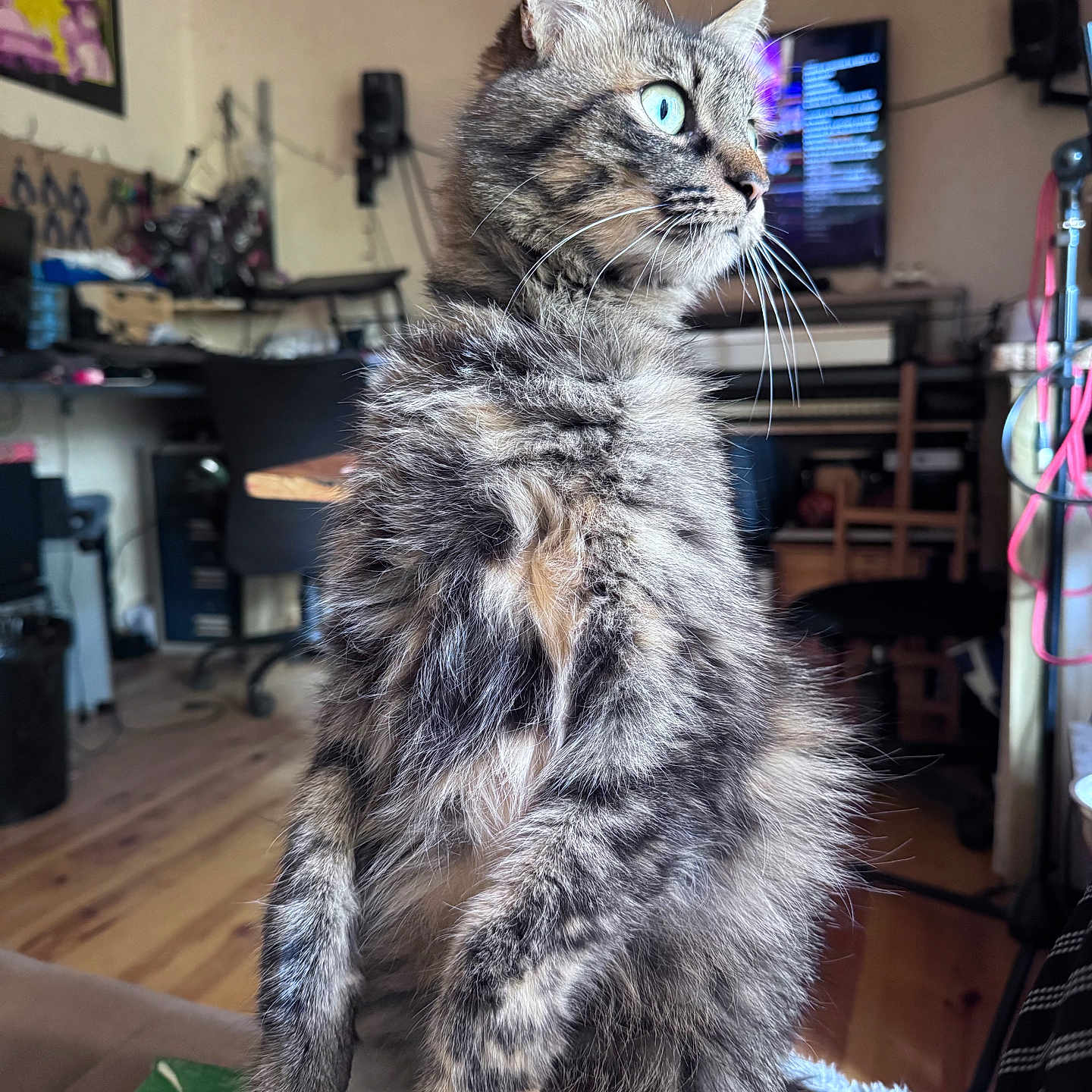 Lagertha