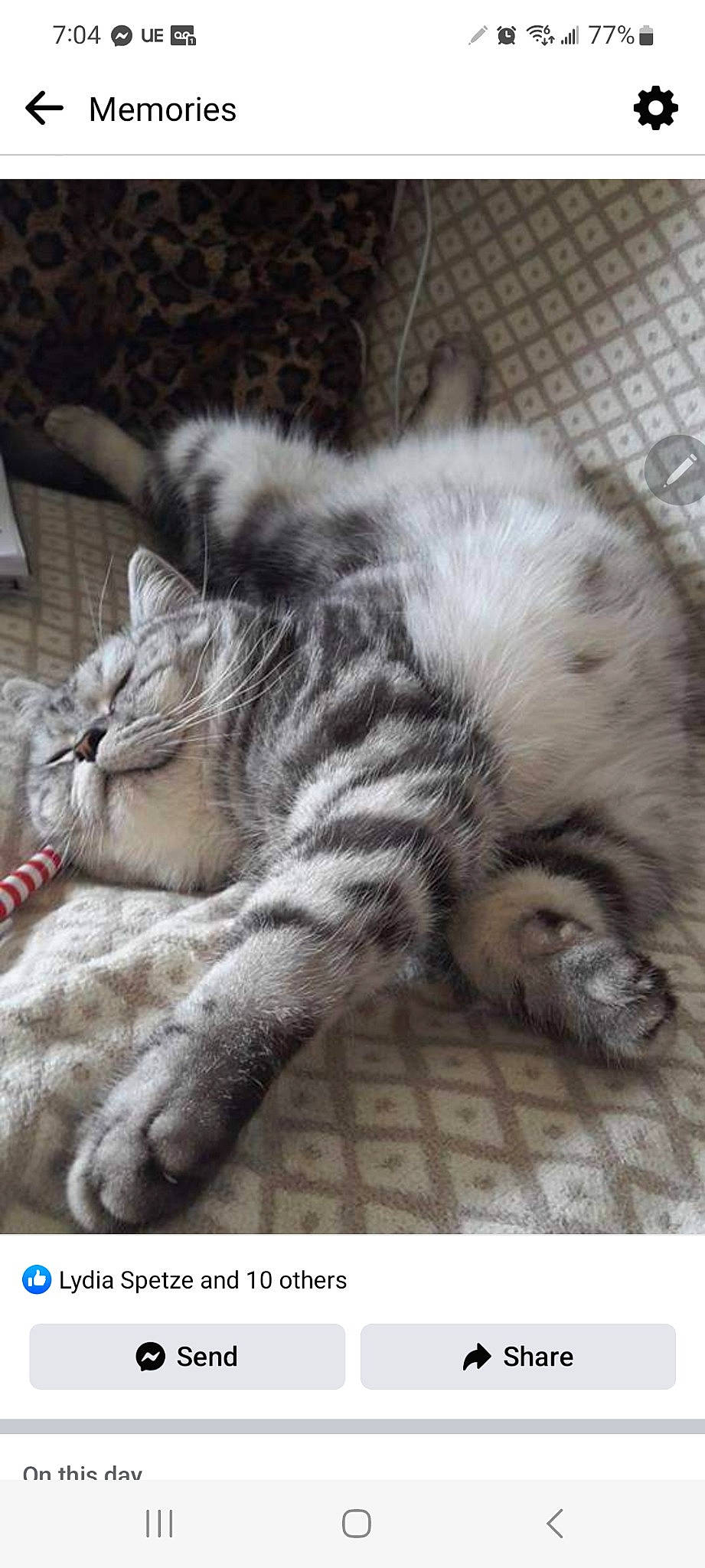 Louis joined the competition — help win amazing prizes! carnivore, cat, claw, comfort, domestic_short_haired_cat, felidae, fur, grey, metal, nap, paw, sleep, small_to_medium_sized_cats, snout, tail, terrestrial_animal, whiskers, wildlife