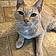Cedric