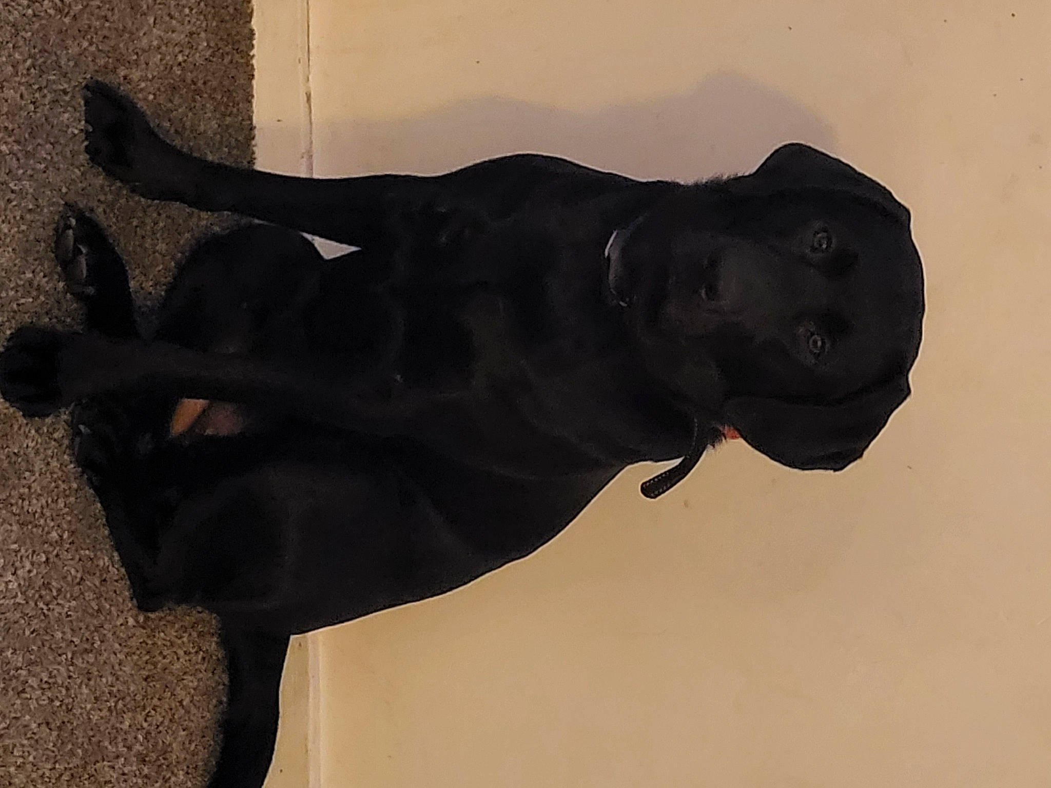 Serenity is registered to the contest to win money with this photo: art, artifact, bronze_sculpture, classical_sculpture, gesture, metal, monochrome, monochrome_photography, monument, personal_protective_equipment, sculpture, shadow, snout, sporting_group, statue, tail, tints_and_shades, visual_arts, water, wood