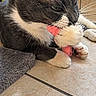 cat, gray_cat, white_paws, stuffed_toy, toy, indoor, floor, tile_floor, yellow_pot, plant, pet, animal, whiskers, playful, close_up, relaxed, cute, feline, domestic_cat, resting