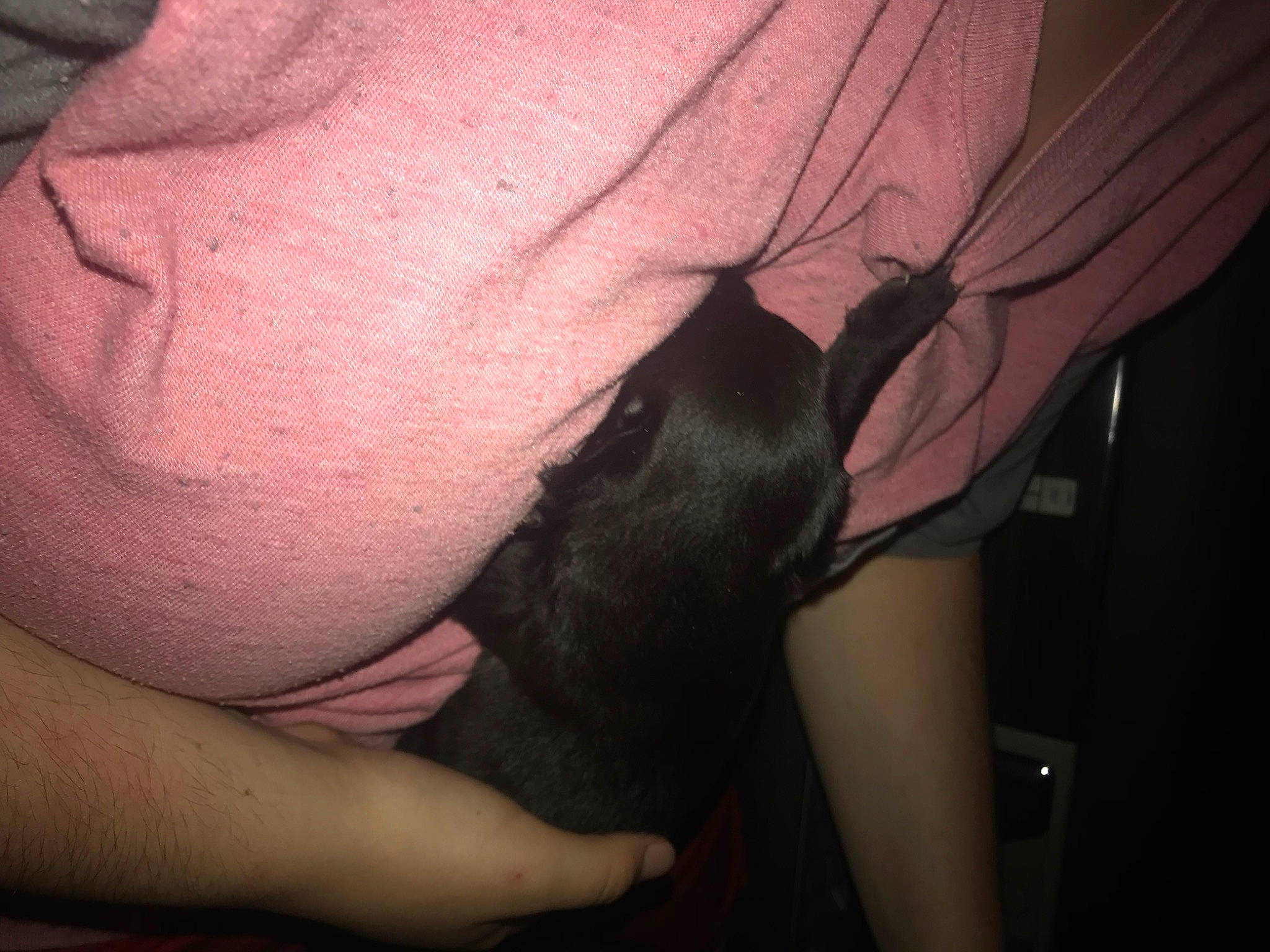 Doobie joined the competition — help win amazing prizes! abdomen, beard, chest, ear, elbow, eyebrow, eyelash, flash_photography, gesture, jaw, joint, knee, lip, mouth, neck, stomach, thigh, thumb, trunk, wrist