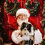 beard, bench, black_and_white, christmas, cute, decorations, dog, festive, glasses, holiday, indoor, pet, portrait, red_suit, santa_claus, smiling, snow, tongue_out, warm, wreath