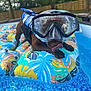 dog, snorkel_goggles, inflatable_float, pool, water, backyard, summer, tongue_out, playful, outdoor, leaf_pattern, life_jacket, pet, canine, fun, colorful, trees, fence, relaxing, sunlight