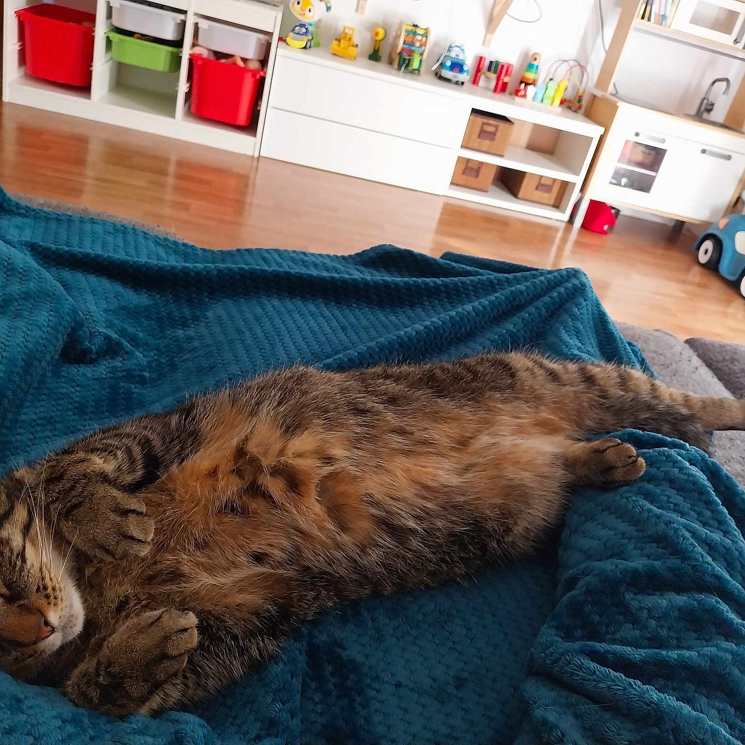 Mia