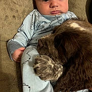 Paul joined the competition — help win amazing prizes! animal, baby, child, closeup, couch, cozy, cute, dog, face, friendship, fur, hand, indoor, infant, looking, pajamas, paw, pet, puppy, soft