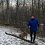 J. Jonah Jameson is registered to the contest to win money with this photo: person, dog, snow, winter, forest, tree, path, stick, leash, jacket, hat, gloves, outdoor, cold, walking, nature, brown_dog, leafless_trees, footwear, canine