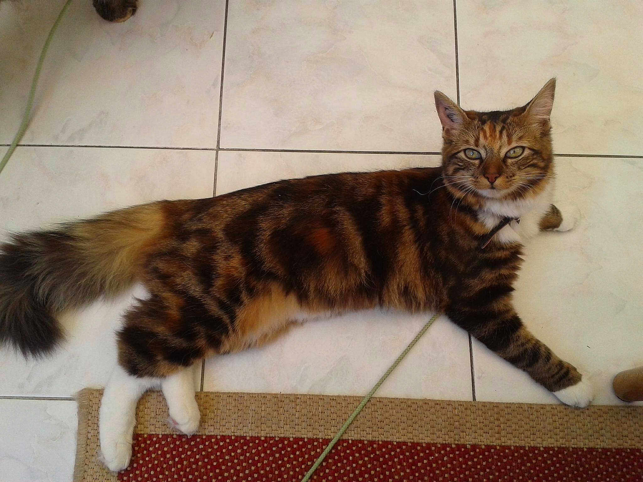 Maya participe au concours pour gagner de l'argent avec cette photo :