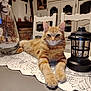 animal, cabinet, cat, chair, decor, feline, fireplace, fur, home, indoor, kitchen, lace, lantern, orange_tabby, paws, pet, portrait, relaxed, table, table_runner