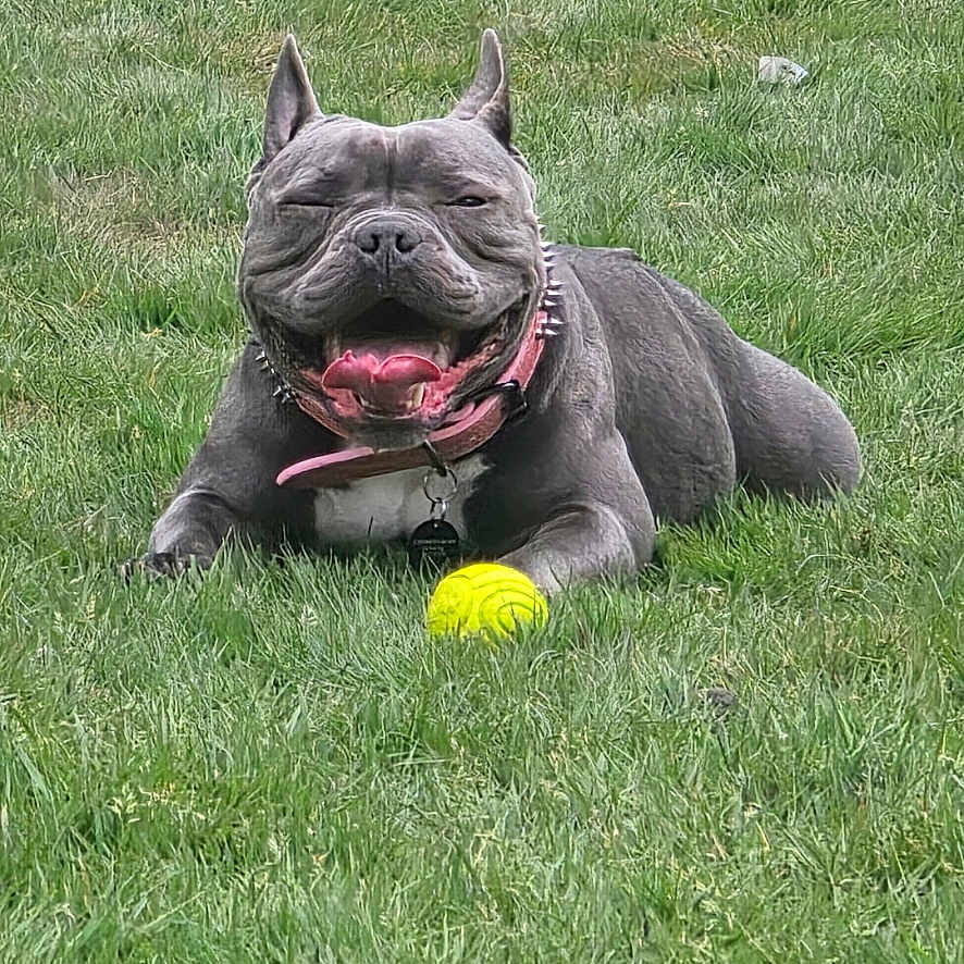 Luna