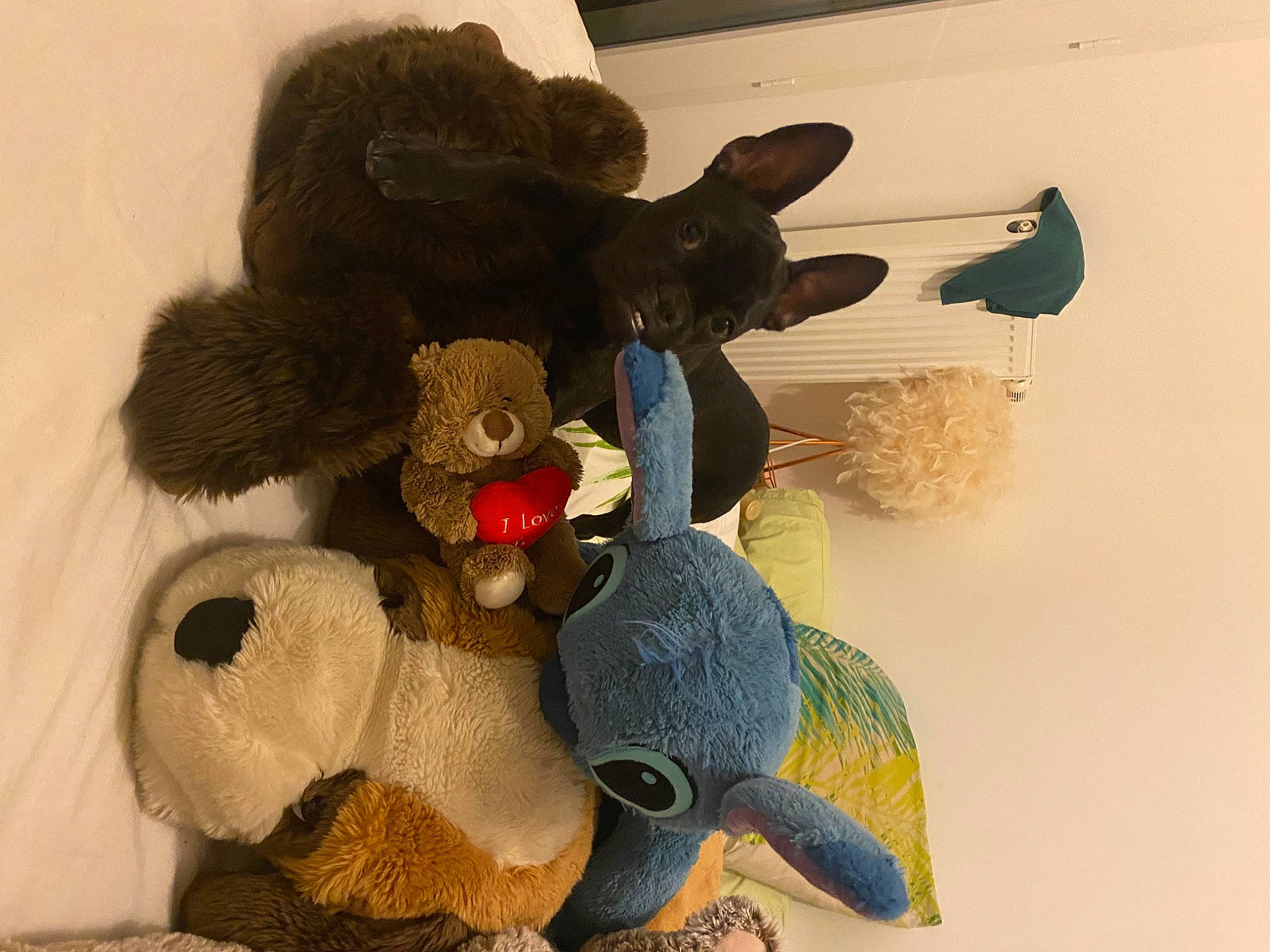 Tyna a rejoint le concours — aidez-le/la à gagner de superbes lots ! art, baby_toys, brown, carmine, comfort, fur, plush, room, stuffed_toy, terrestrial_animal, textile, toy, visual_arts, wool