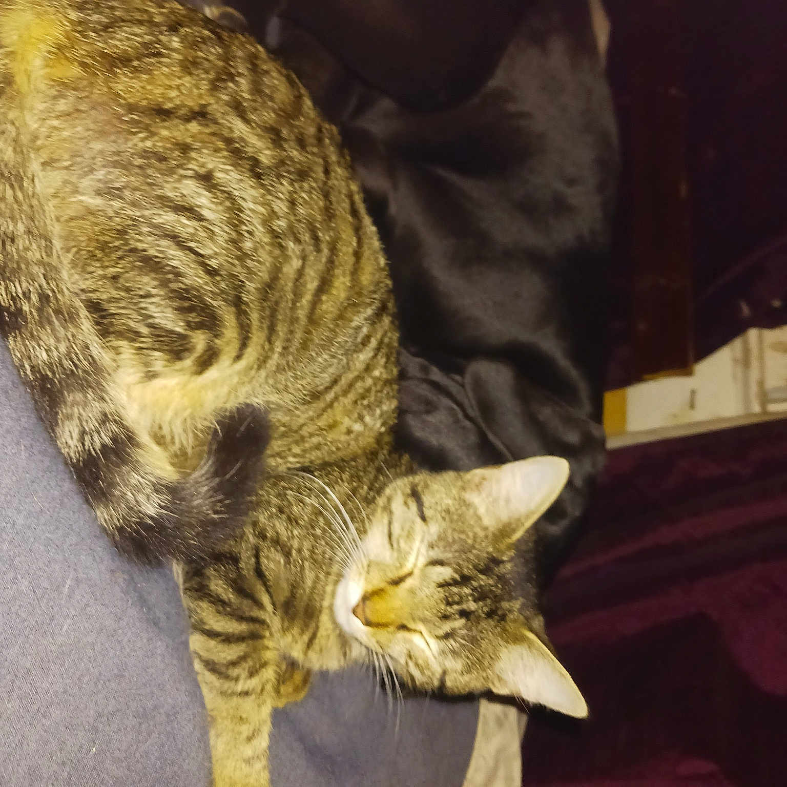 Nala