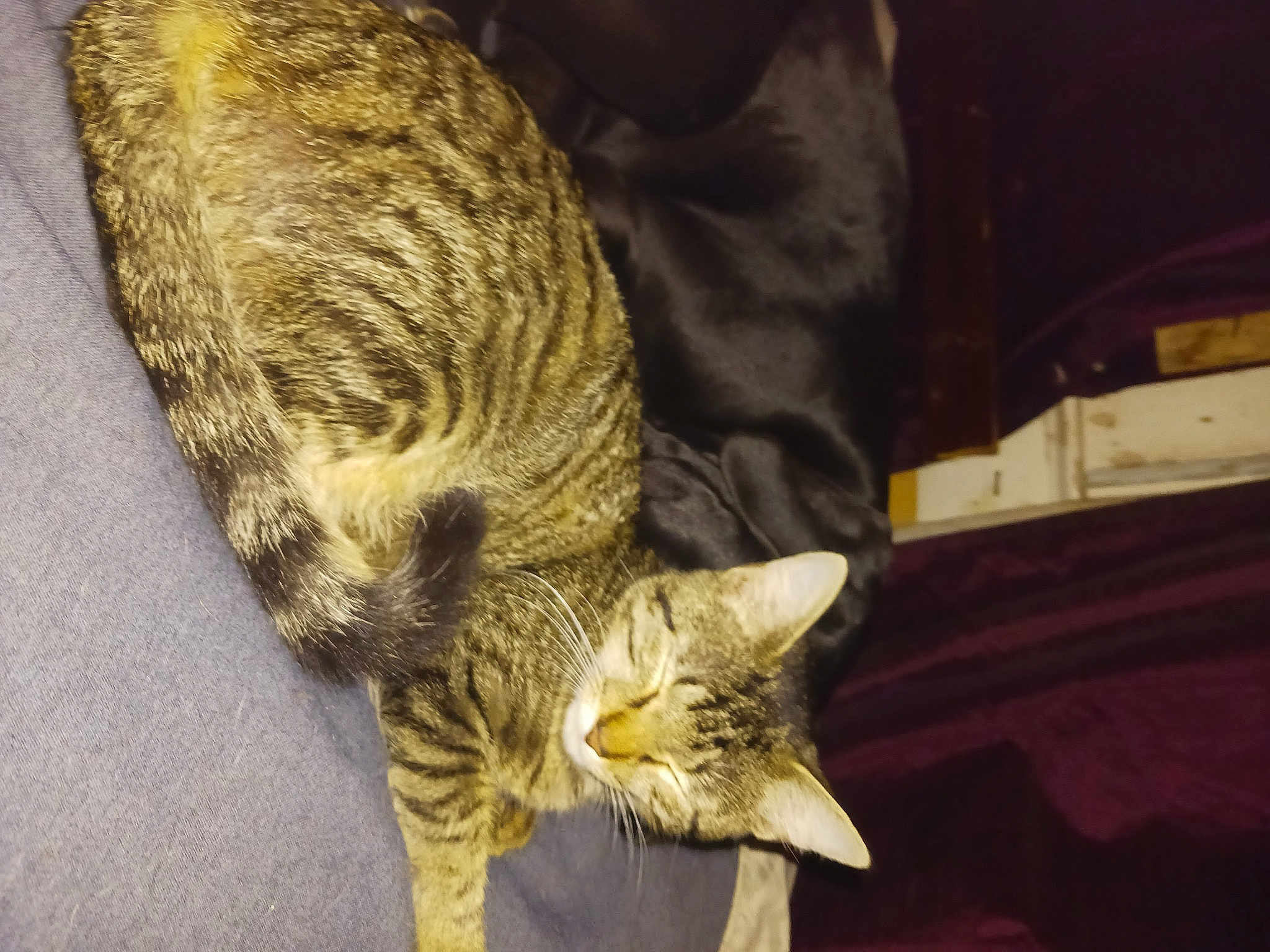 Nala