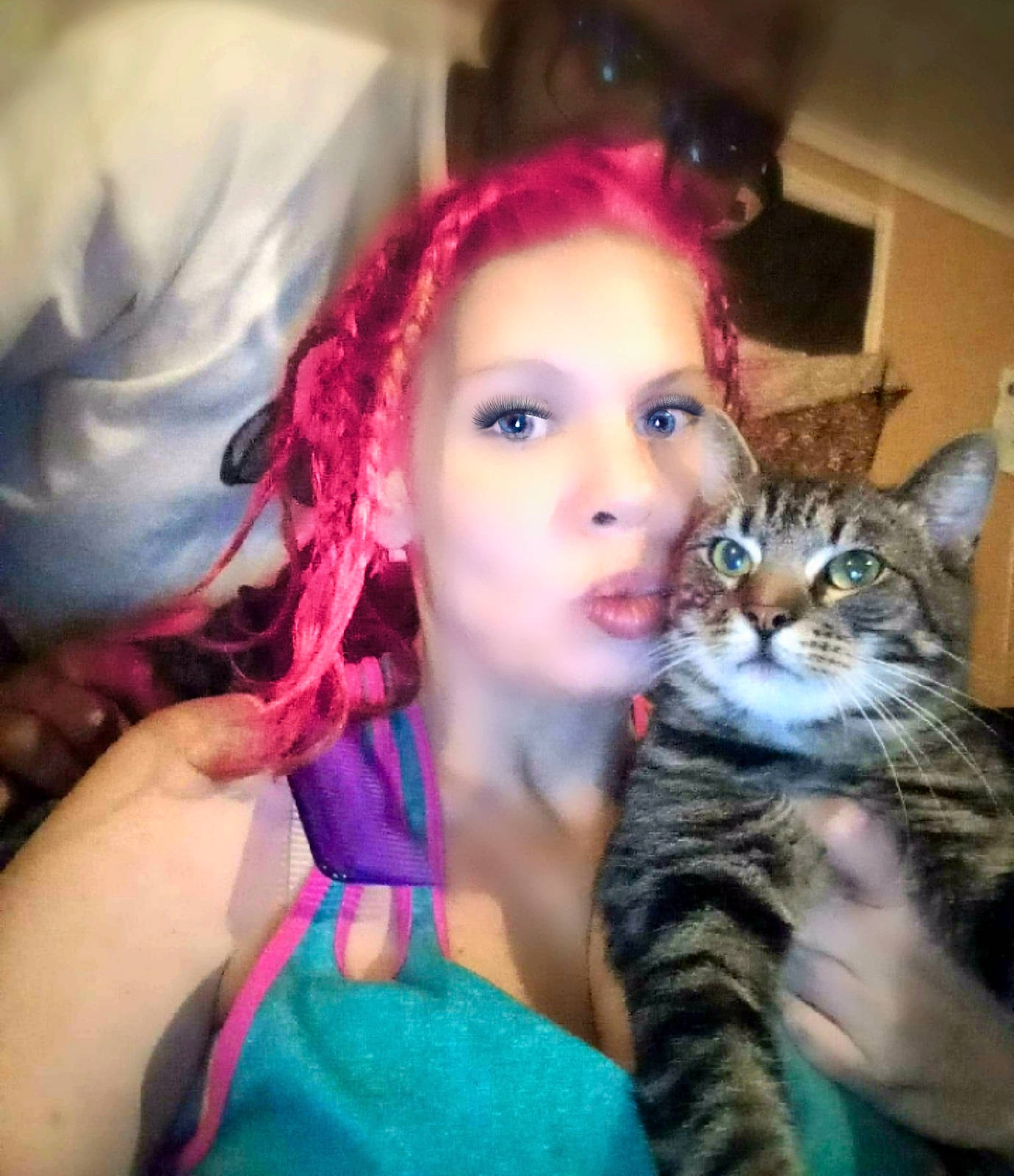 Yoda joined the competition — help win amazing prizes! carnivore, cat, domestic_short_haired_cat, eye, eyebrow, eyelash, fashion_accessory, fashion_design, felidae, fur, goggles, happy, iris, jewellery, long_hair, magenta, small_to_medium_sized_cats, sunglasses, whiskers, wig