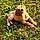 Abby