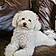 Bailey