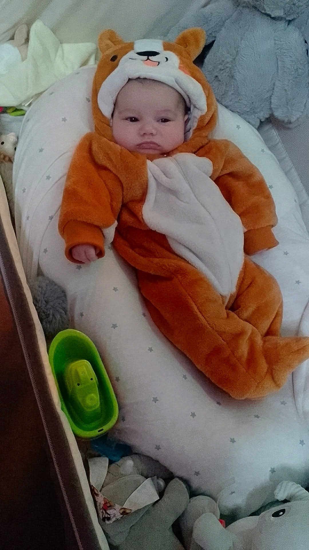 Mael participe au concours pour gagner de l'argent avec cette photo : baby, infant, onesie, animal_costume, orange, cushion, star_pattern, soft_toys, stuffed_animals, bottle, lying_down, indoors, cute, chubby_cheeks, face, headwear, child, comfort, plush, person