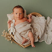 Lyam participe au concours pour gagner de l'argent avec cette photo : newborn, baby, infant, blanket, soft_toy, bunny, heart_shaped_bowl, wooden_bowl, wrapped, lying_down, dried_flowers, green_background, cozy, cute, portrait, adorable, child, peaceful, soft_texture, studio_photography